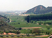 La fiestas de Valdenoches llegan a su fin