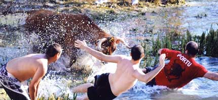 Una novillada concurso redondea el fin de semana taurino de la Feria Chica de Trillo