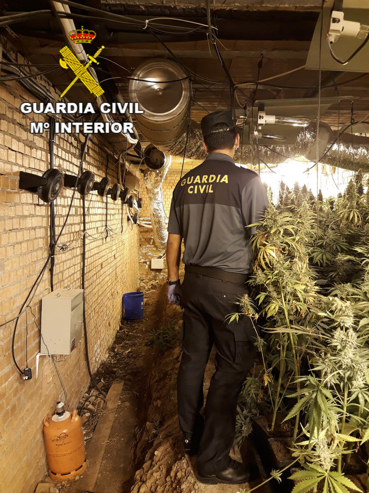 Desmantelan dos plantaciones de marihuana en Cabanillas del Campo y en Torrejón del Rey