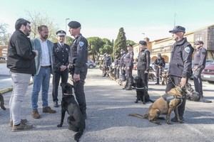 Jornadas de formación para unidades caninas de Policía en Azuqueca
