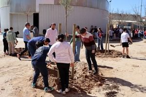 Azuqueca impulsa el proyecto de "Patios inclusivos" en el CEIP Siglo XXI con una plantación de árboles