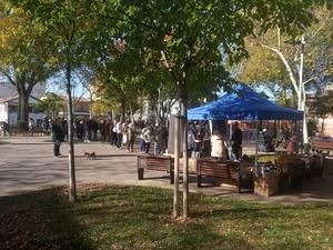 Los vecinos de Azuqueca continúan descubriendo su comercio de proximidad