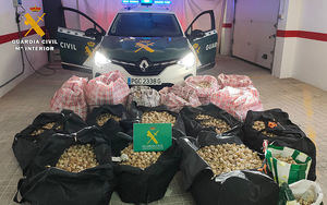 Detienen a 16 personas e incautan 447 kilos de adormidera robada de plantaciones legales en Barrax y La Roda