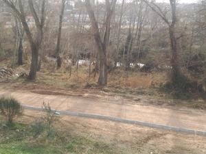 Ahora Guadalajara se suma a las acciones en defensa de la ribera del Henares promovidas por grupos ecologistas