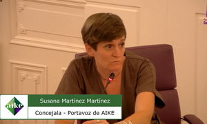 AIKE señala la falta de rigor y planificación económica del PP y Vox