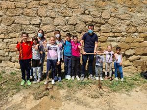 Los niños y niñas del colegio de Alcocer plantan 30 pinos para la campaña Un árbol por Europa