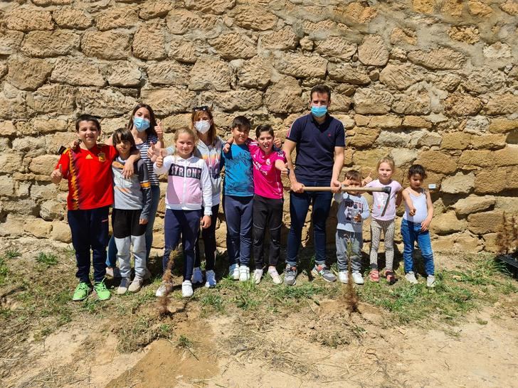 Los niños y niñas del colegio de Alcocer plantan 30 pinos para la campaña Un árbol por Europa