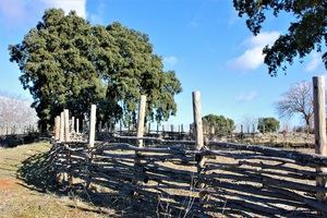 Con 2,5 hectáreas de superficie, el Área Recreativa de Alcohete es la tercera zona verde más grande de Yebes