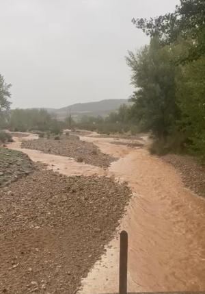El río Aliendre vuelve a correr por Cogolludo