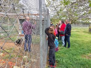 El Centro de Investigación Apícola y Agroambiental acoge alumnado de siete colegios de Educación Infantil y Primaria de Guadalajara