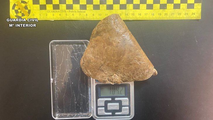 Un detenido en La Puebla de Montalbán por elaborar droga con amapola blanca