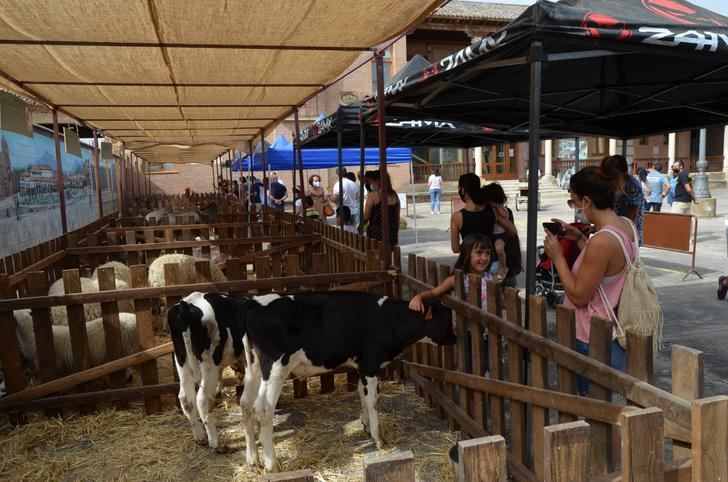 La Programación de Verano de Yunquera de Henares centra el fin de semana en los amantes de los animales