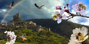 LETRAS VIVAS SEGUNTINAS : Abejas: patrimonio vital de la humanidad