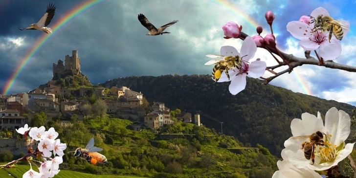 LETRAS VIVAS SEGUNTINAS : Abejas: patrimonio vital de la humanidad