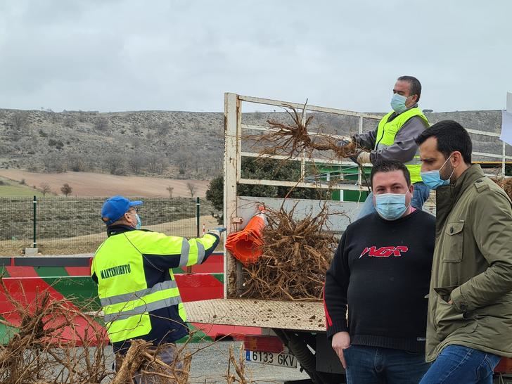 La Diputación de Guadalajara entrega 2.000 árboles a municipios de la provincia