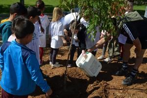 Los niños de Yunquera de Henares plantan nuevos árboles y flores frente a su Colegio