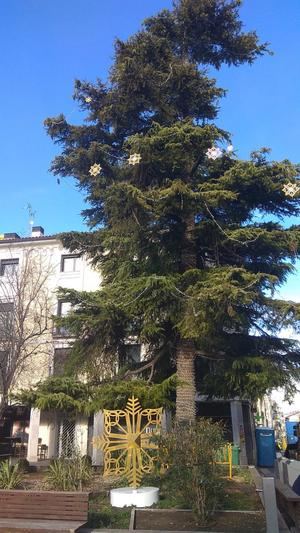 El gran cedro de la plaza Mayor de Guadalajara estrena una decoración inspirada en el patrimonio local