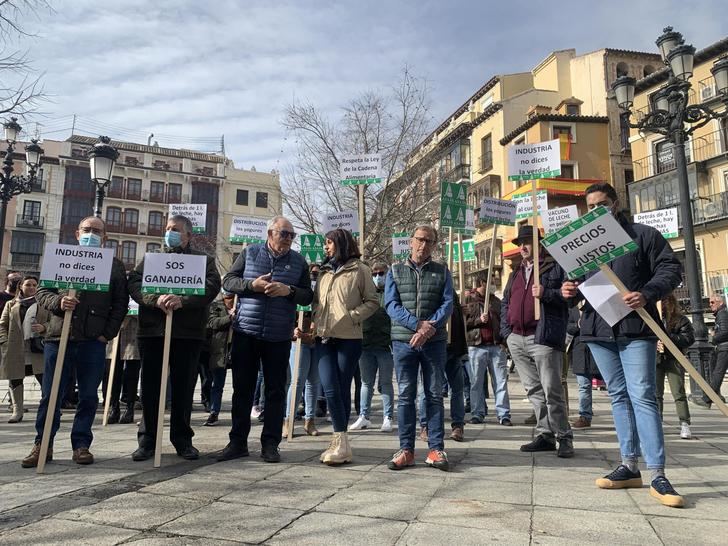 Más de un centenar de ganaderos de vacuno lácteo se concentran en Toledo
