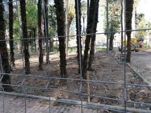 Ecologistas en Acci&#243;n denuncia que el Ayuntamiento de Guadalajara acaba con el &#250;nico Parque de la ciudad m&#225;s naturalizado