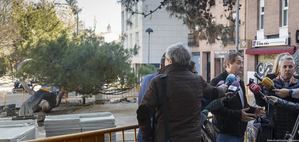El Ayuntamiento de Guadalajara pone en valor el “pino tumbado” de la Concordia