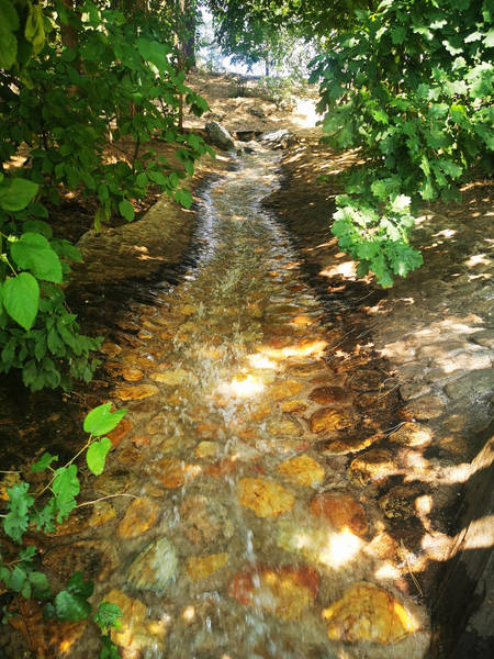 El Ayuntamiento de Azuqueca recupera un afluente del arroyo de La Quebradilla
