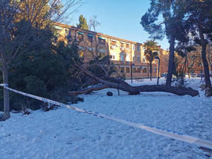 Azuqueca espera este fin de semana la llegada del Ejército y solicitará la declaración de 'zona catastrófica'