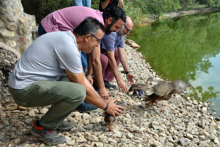 El Ayuntamiento de Azuqueca proyecta una pasarela peatonal sobre la A2 para llegar al río Henares
