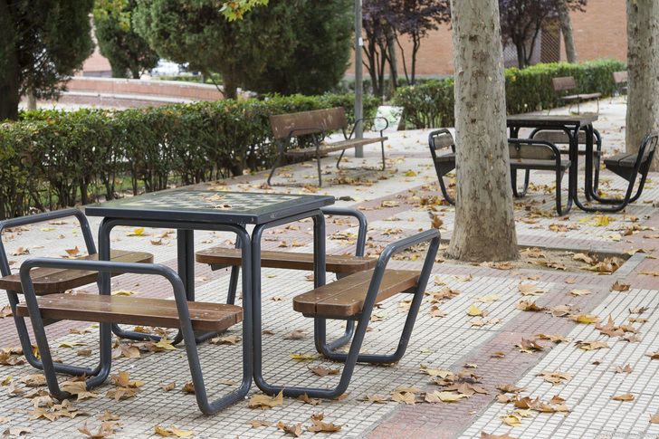 El Ayuntamiento de Guadalajara está llevando a cabo el Plan Especial de Recogida de Hojas