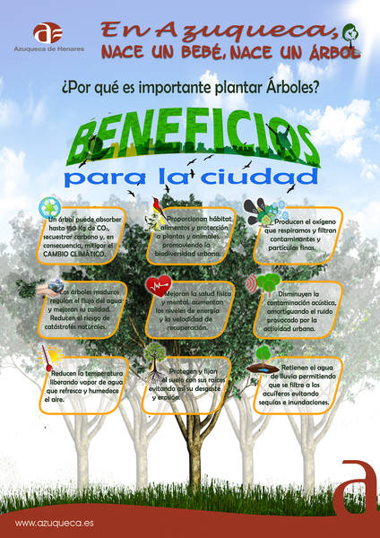 Los nacidos en 2019 plantarán este domingo una morera a través de la iniciativa 'En Azuqueca nace un bebé, nace un árbol'