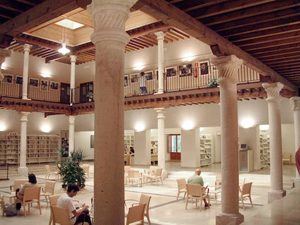 Clubes de lectura por WhatSapp, presentación de relatos o préstamo de libros electrónicos y películas son algunas de las propuestas de la Biblioteca de Guadalajara