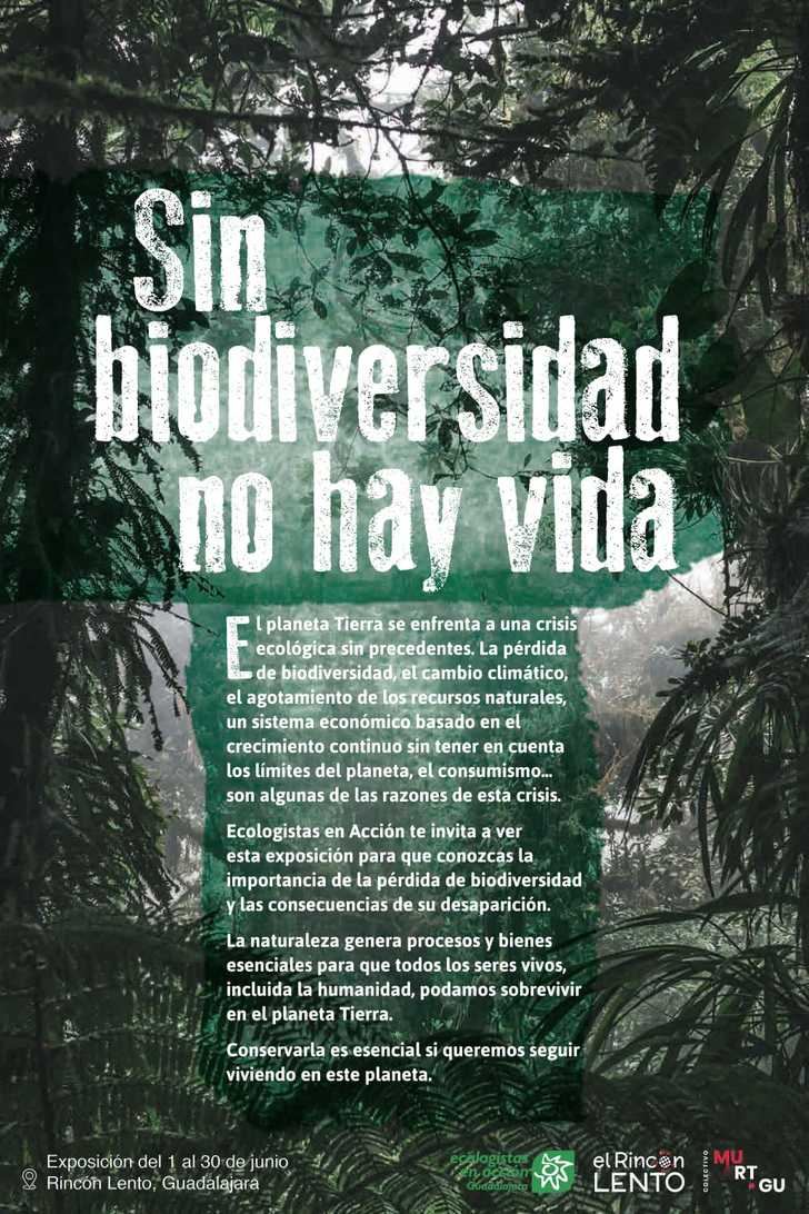 Exposición Sin Biodiversidad No Hay Vida, hasta el 30 de junio en el Rincón Lento