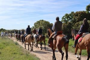 La I Romería con bueyada de Yebes: un éxito en organización, convivencia y buen ambiente