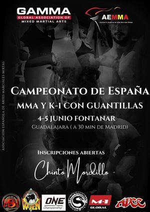 Campeonato de España MMA y K-1 con guantillas
