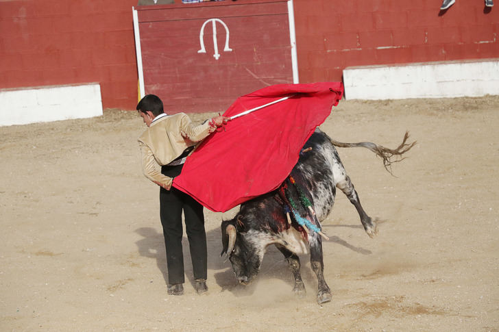 Jesús Romero triunfa en la becerrada de Fuentenovilla