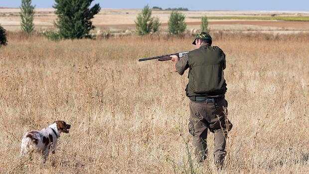 El presidente de la Federación de Caza de Castilla-La Mancha pide que cesen los ataques contra la caza 