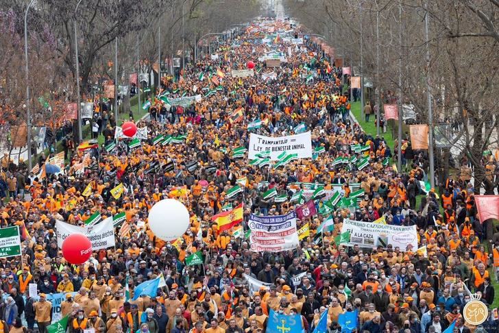 Las Federaciones de Caza de toda España anuncian inminentes movilizaciones si la Ley Animalista no excluye a la caza