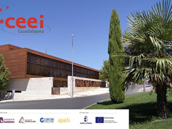 Festo, del colegio Giovanni Antonio Farina gana la V edición de la competición robótica 