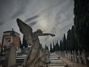 El ayuntamiento de Guadalajara ofrecerá visitas temáticas sobre arquitectura y escultura funeraria