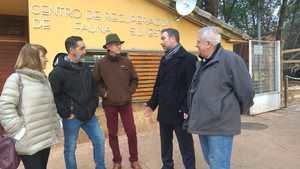 El Centro de Recuperaci&#243;n de Fauna Silvestre de Guadalajara recibe la visita del viceconsejero de Medio Ambiente 