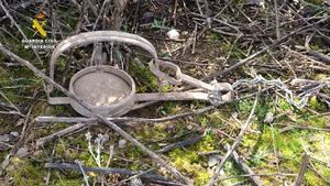 Una persona investigada como presunto responsable de la muerte de un gato que habría quedado atrapado en un cepo ilegal de caza en Iriépal