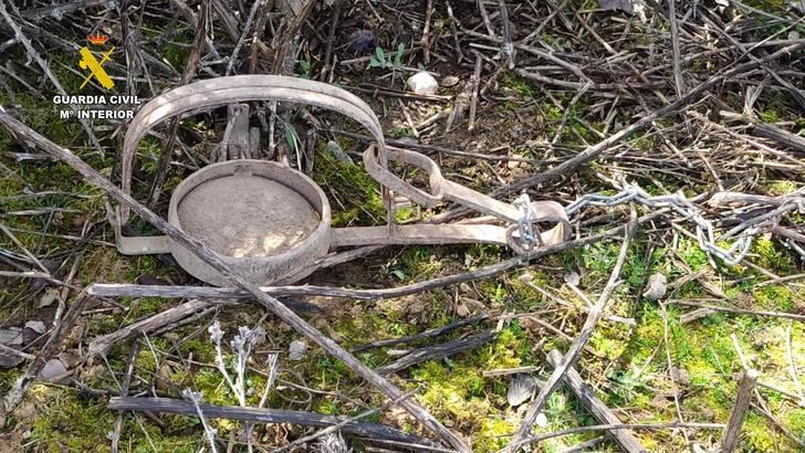 Una persona investigada como presunto responsable de la muerte de un gato que habría quedado atrapado en un cepo ilegal de caza en Iriépal