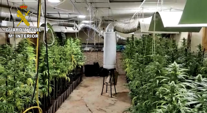 Dos plantaciones ilegales de marihuana en Ciruelos desmanteladas por la Guardia Civil