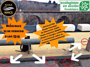 El movimiento No Mas Colillas en el Suelo (NMCS) junto a Ecologistas en Acci&#243;n celebran el Colillat&#243;n en Guadalajara