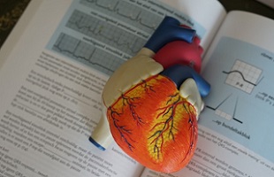 Centro Ibercaja Guadalajara organiza el ciclo CUIDA-T