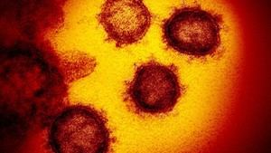 De los 660 casos de coronavirus detectados este jueves en la CLM, 79 son de Guadalajara
