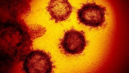 De los 119 (90 el jueves pasado) casos detectados de Coronavirus este jueves en CLM, 16 son de Guadalajara