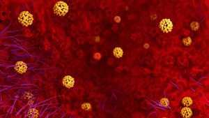 Se elevan a 12 los casos positivos por coronavirus en Castilla-La Mancha