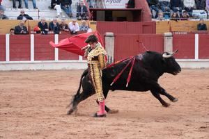 El Ayuntamiento de Guadalajara no promoverá eventos taurinos esta temporada por la proliferación del coronavirus