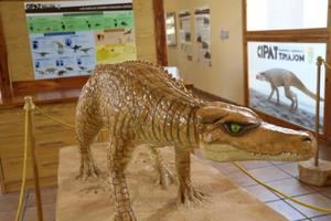 Aparecen nuevas huellas fósiles de vertebrados del Cretácico en Tamajón