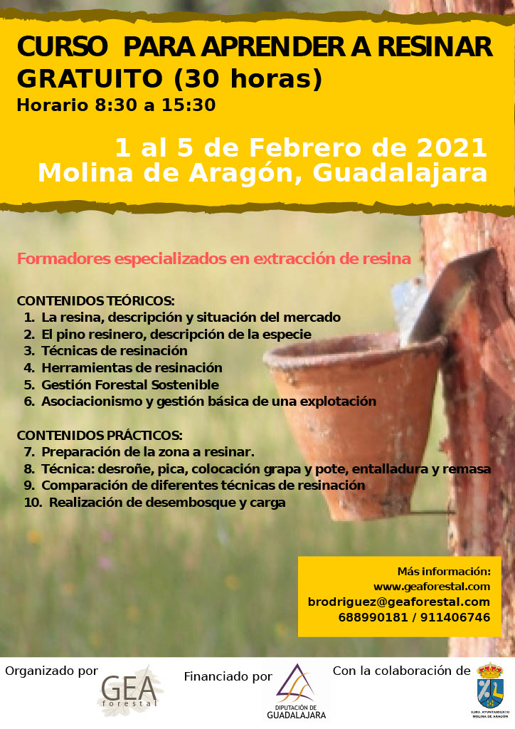 Molina de Aragón acogerá del 1 al 5 de febrero un curso de resineros financiado por la Diputación